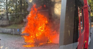 O autoutilitară a ars în preajma castelului Peleș