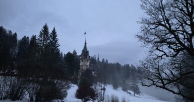 Lucrări minore și fonduri insuficiente la Peleș, în timp ce autoritățile pregătesc nominalizarea UNESCO