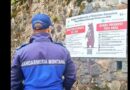 Începe „sezonul” urșilor – Siguranța în zonele montane. Jandarmeria montană Valea Prahovei: „Evitați contactul cu animalele sălbatice”