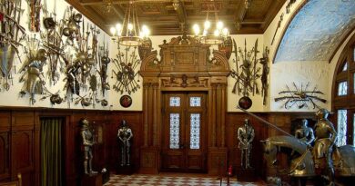 Aproape 4.000 de piese din colecția lui Carol I, expuse pentru prima dată la Peleș, într-o expoziție tematică